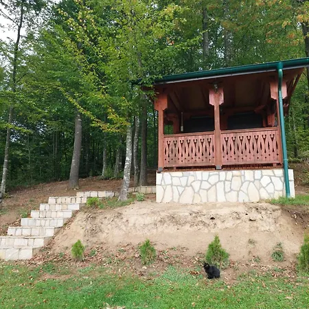 Dobar Pogled *