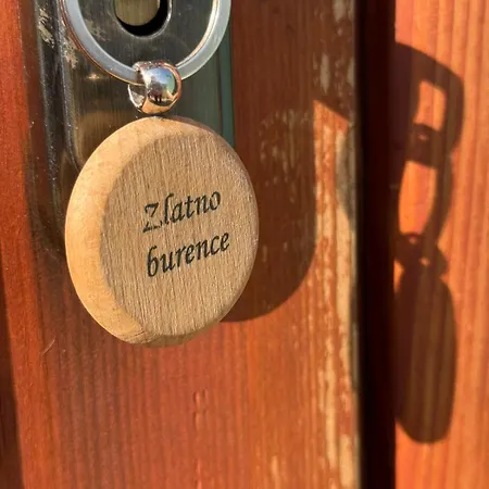 Hébergement de vacances Dobar Pogled